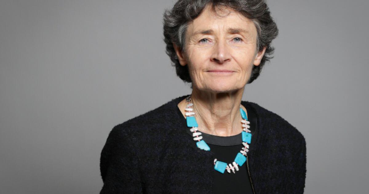 Rt Hon, Lady Estelle Morris, Baroness of Yardley Royal Institution